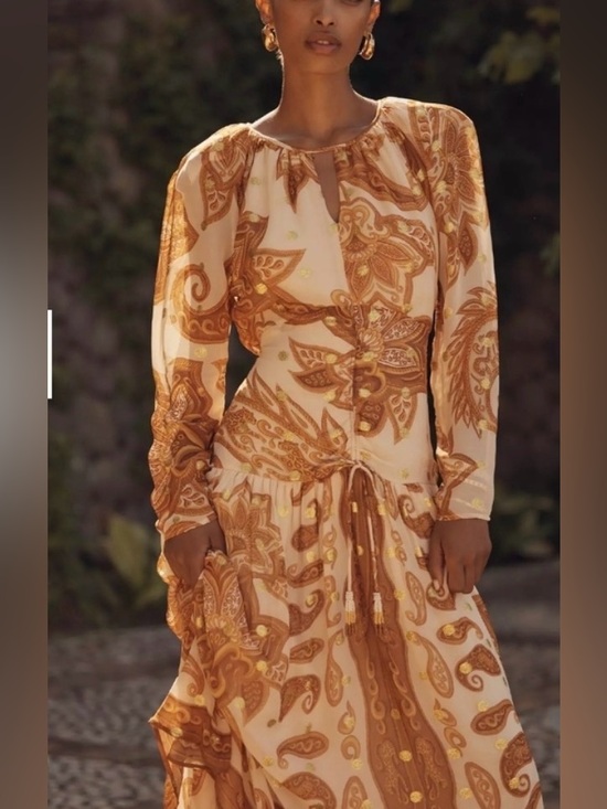 FARM Rio Dresses & Skirts - Farm Rio x Anthropologie L/S Jacquard Maxi Dress is a long-sleeved Paisley NWT